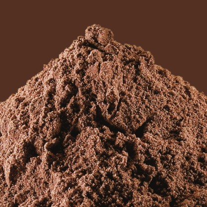 Cacao sucré